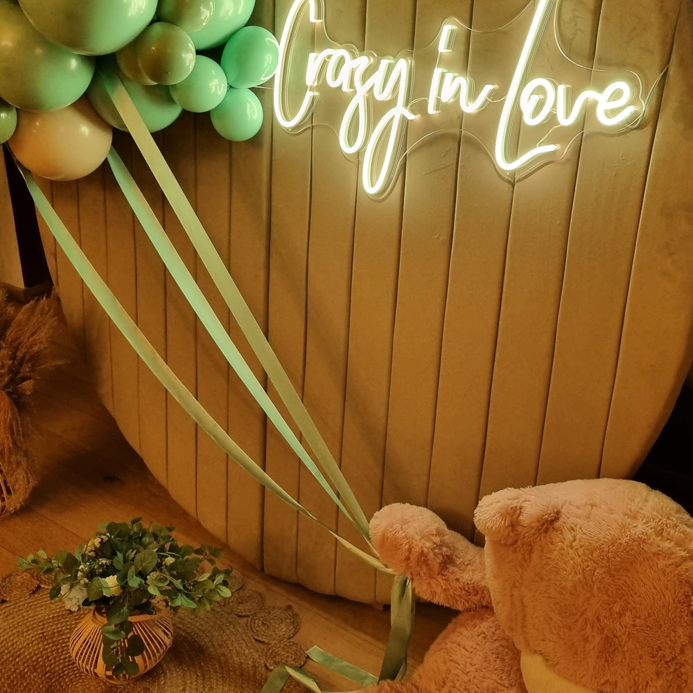 
                      
                        Semn luminos neon | Crazy in love - Rgb - Cu telecomanda
                      
                    